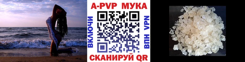 OMG ONION  сайты даркнета формула  A PVP Соль  Богданович 