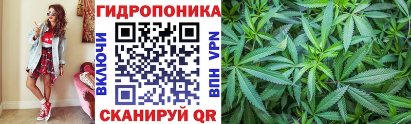 Каннабис план Богданович